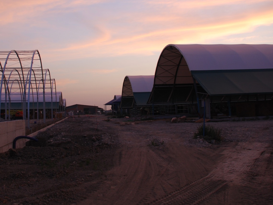 agricoltura
